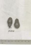 Click for 1 image(s) for this accession. FRUIT